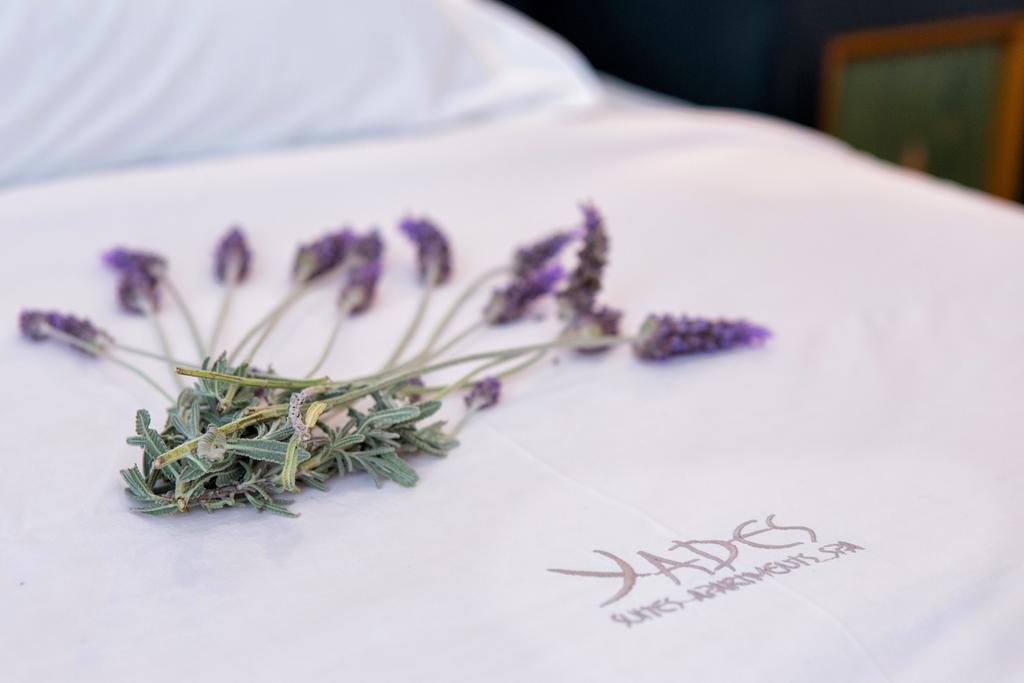 Yades - All Sea View Suites - Adults Only Naoussa Esterno foto